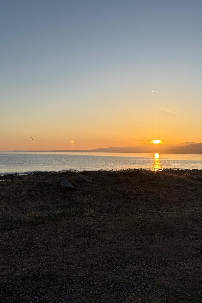 Bertskg - Trefor